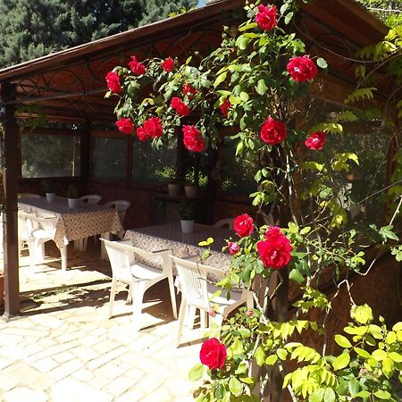 B&B Villa Lena Тури Екстериор снимка