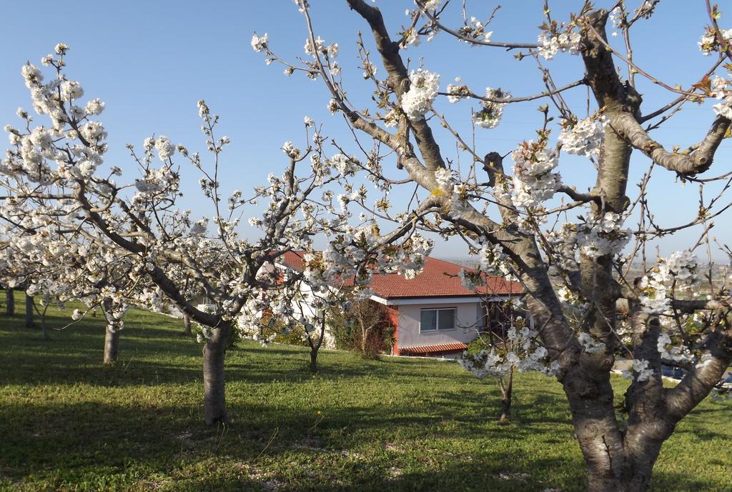 B&B Villa Lena Тури Екстериор снимка