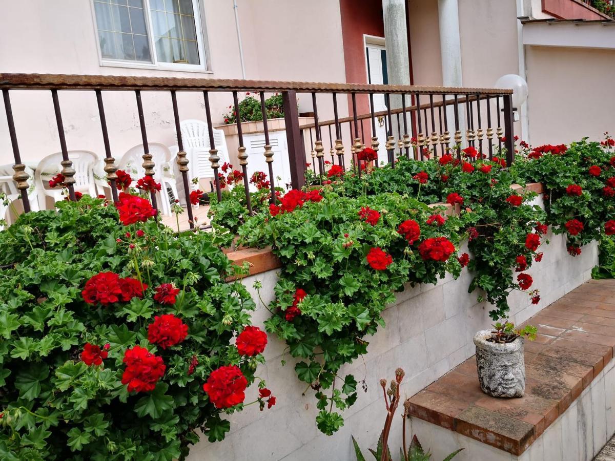B&B Villa Lena Тури Екстериор снимка