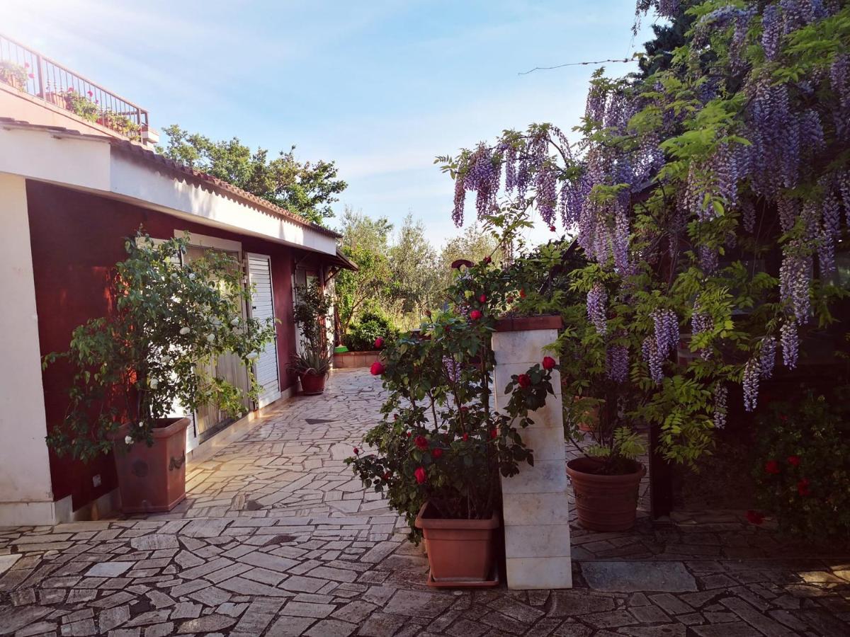 B&B Villa Lena Тури Екстериор снимка