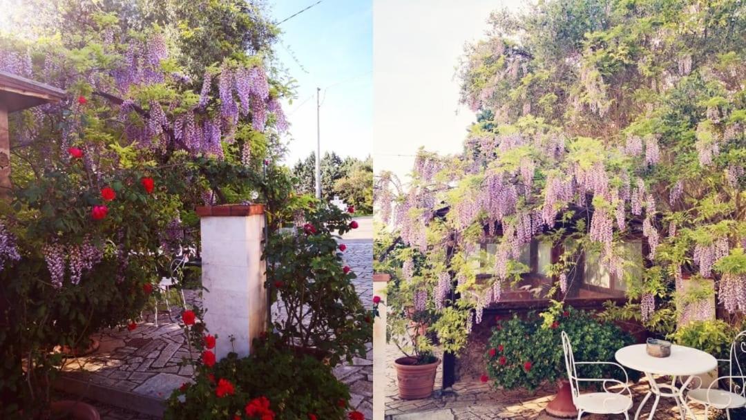 B&B Villa Lena Тури Екстериор снимка