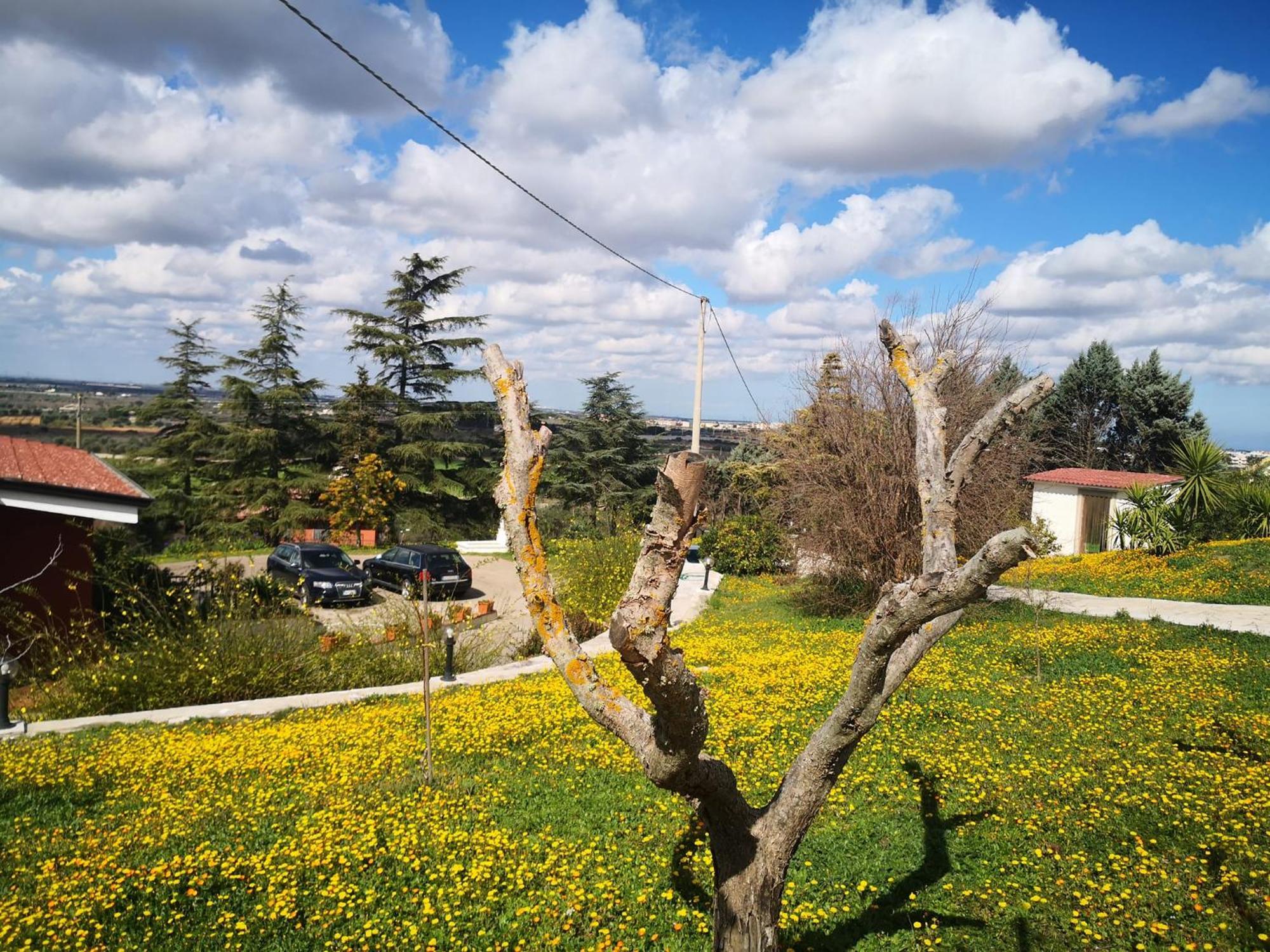 B&B Villa Lena Тури Екстериор снимка