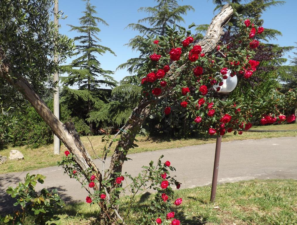 B&B Villa Lena Тури Екстериор снимка