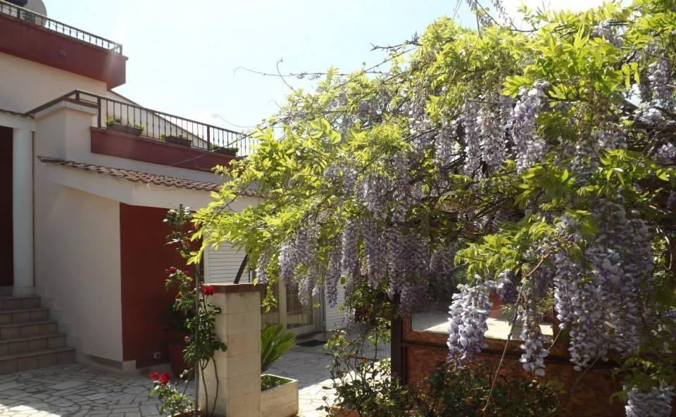 B&B Villa Lena Тури Екстериор снимка